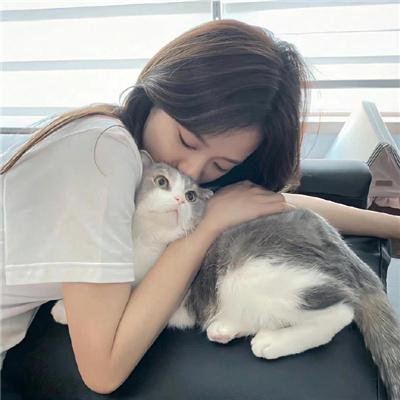 马拉喀尔：阿拉伯海狮